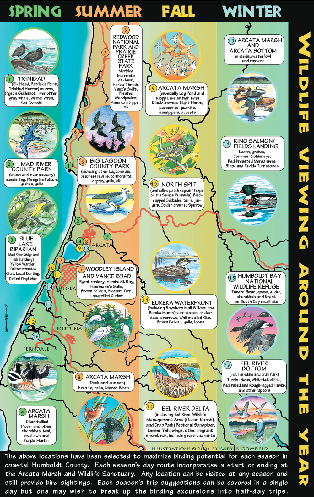 Brochure2_Birding1000