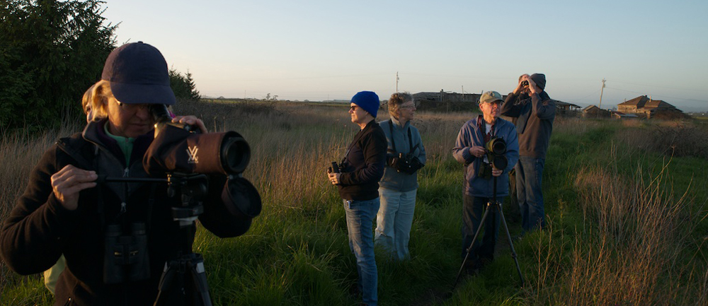 The Many Shapes & Sizes of a Birding Big Year